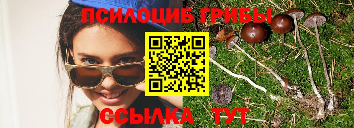 Галлюциногенные грибы мухоморы Омск