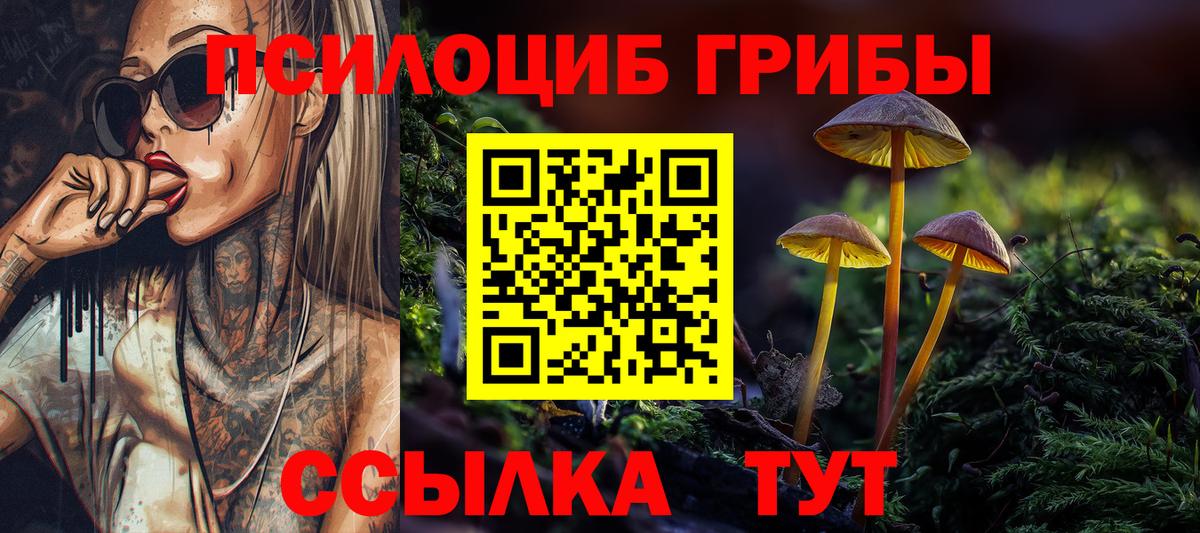 закладки  Галлюциногенные грибы Magic Shrooms  Вход с VPN  Омск 